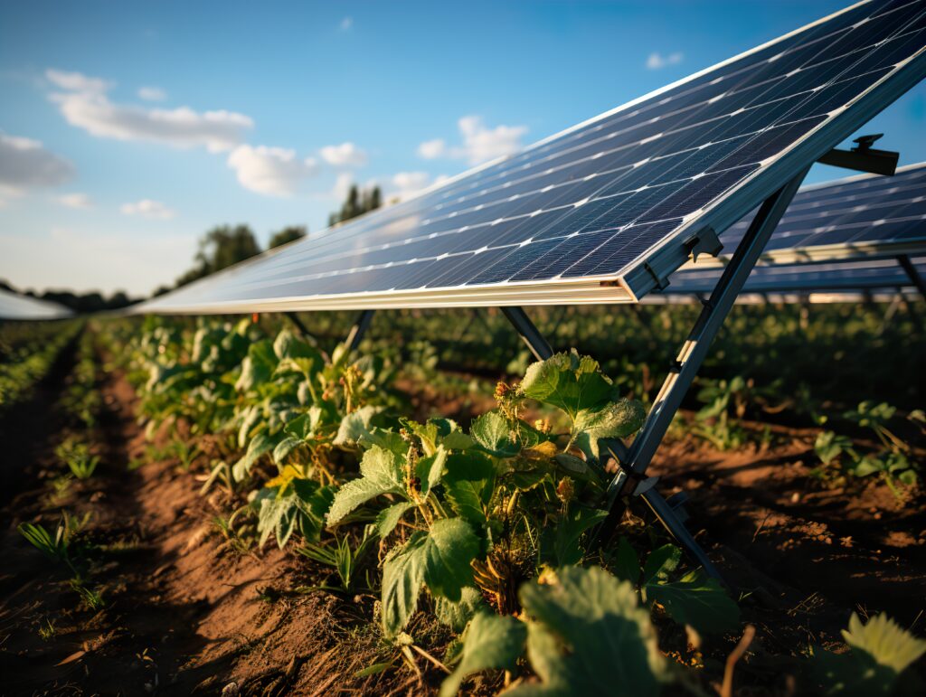 solar panel in a farm