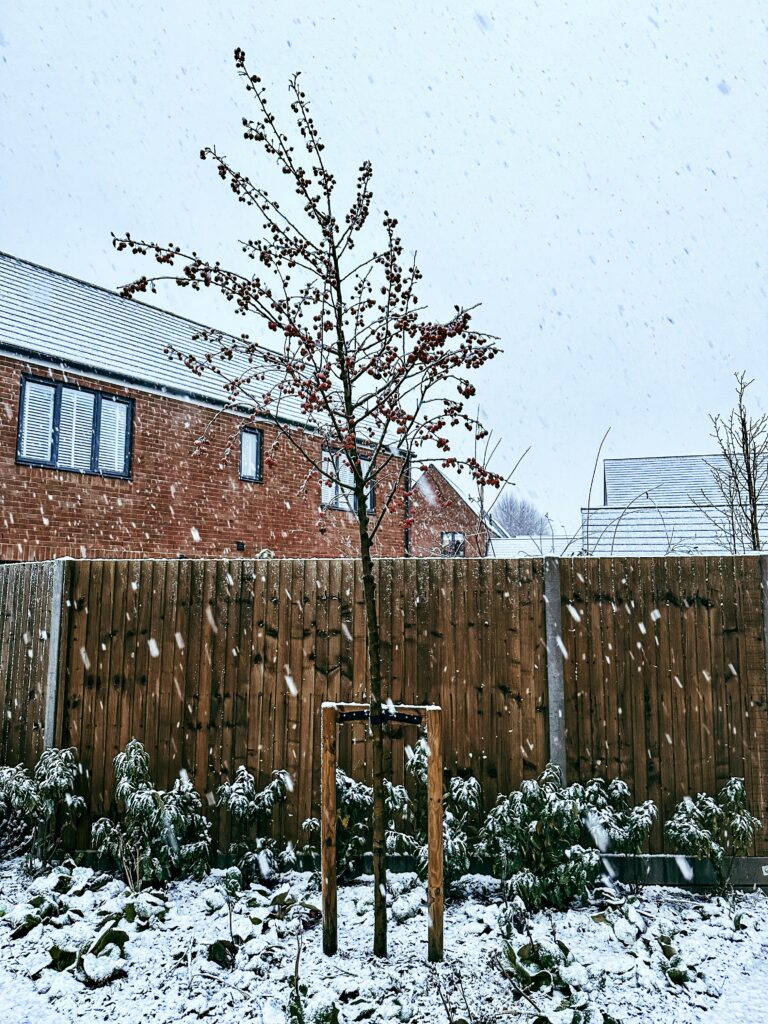 Snowy Uk Roof and Garden - UPS Solar